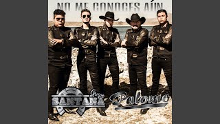No Me Conoces Aún (feat. Grupo Palomo)