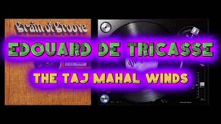 Edouard De Tricasse - The Taj Mahal Winds