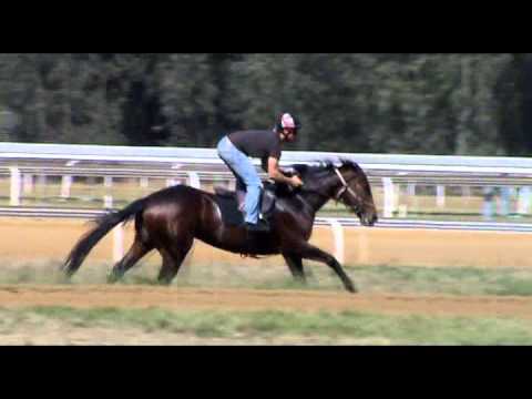 Slumdogmillionaire in training at the Vaal