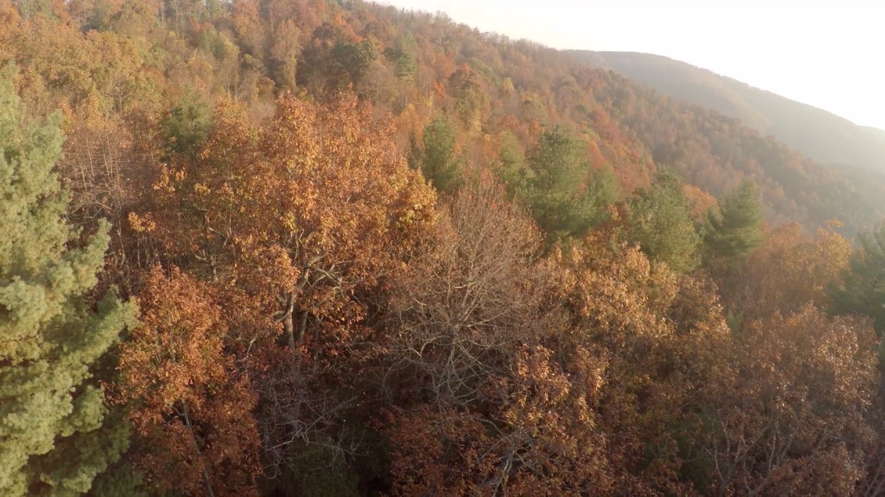 Select Homesites Poplar Ridge (Asheville, NC)