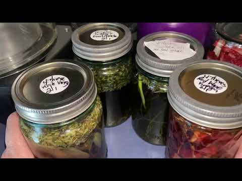 Prevention is Best 4 Thieves Tincture and Vinegars