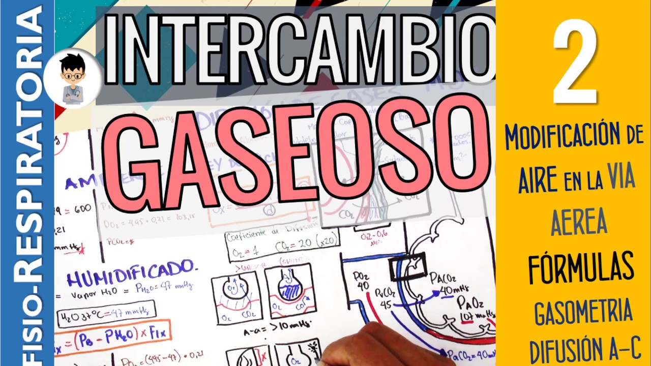 INTERCAMBIO GASEOSO, Presión Parcial Alveolar, Difusión, Barrera Alveolo Capilar |Fisio-Resp|2