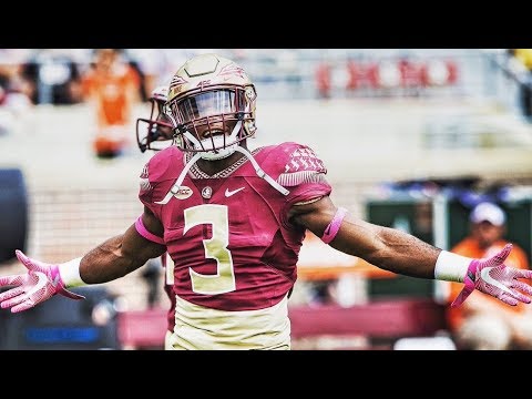 Florida State RB Cam Akers || 2017 Season Highlights