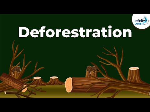 Happyclass - Conservation of Plants and Animals, Science, CLASS 8 - NCERT CBSE Happyclass - Conservation of Plants and Animals, Science, CLASS 8 - NCERT CBSE