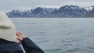 Aurora Expeditions Svalbard In Depth