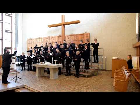 Josef Haydn, Stabat Mater, Qui Est Homo
