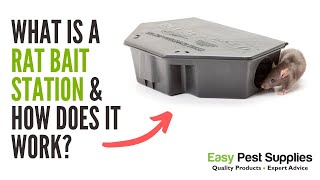 What is a Rat Bait Station & How Does it Work?