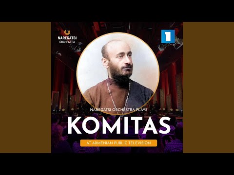 Alagyaz / Khnki Tsar (Live) (feat. Tigran Shahinyan)