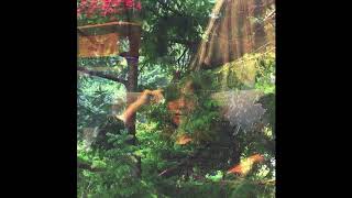 Jennifer Castle &quot;Angels of Death&quot; (Official Audio)