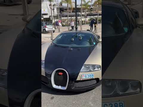 Bugatti Chiron vs Lamborghini Urus 😄 #Ferrari portofino #Monaco #shorts