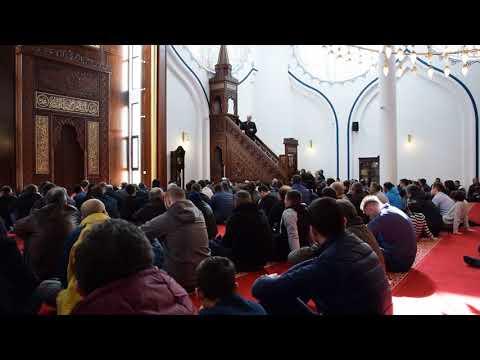 Dzuma u IKC Bar, 09.02.2018.g.