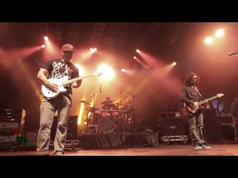 The Expendables - Down Down Down (Live) - 2013 California Roots Music & Arts Festival