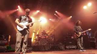 The Expendables - Down Down Down (Live) - 2013 California Roots Music & Arts Festival