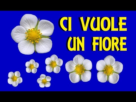 Crema di decolorazione nazionale per la persona Cè stato un posto di pigmentary su pelle