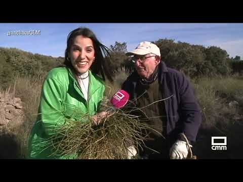 Anastasio mantiene vivo el oficio familiar | Ancha es Castilla-La Mancha