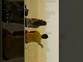 Rooba Rooba WhatsApp Status Telugu Movie Status Song