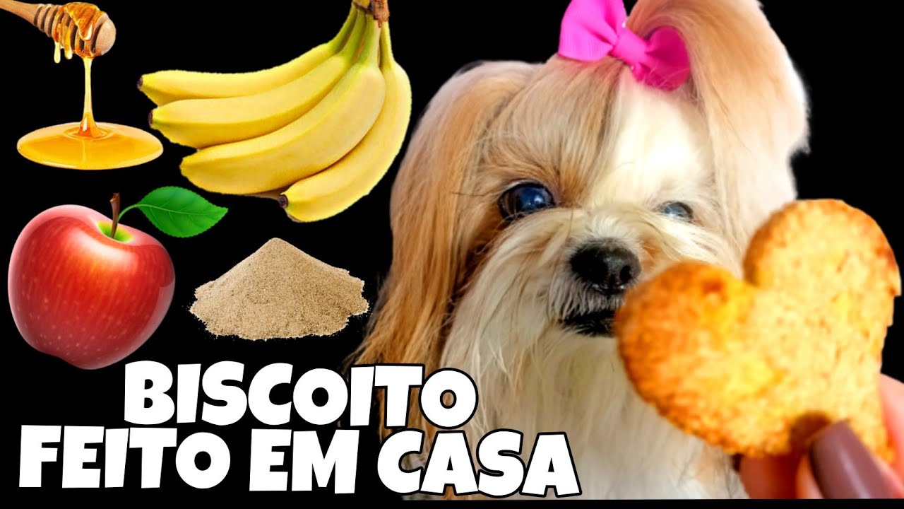 BISCOITO pra CACHORRO na AIRFRYER *FÁCIL, ECONÔMICO *PRONTO EM 10 MINUTOS