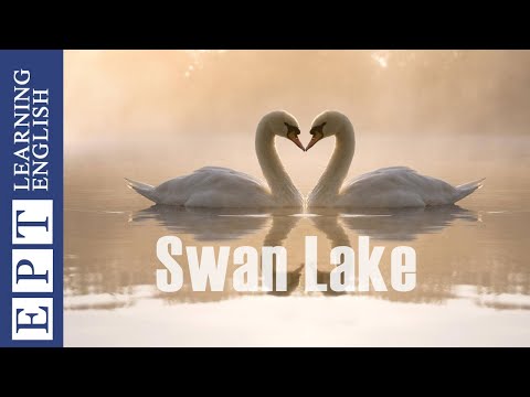 Aprenda inglês através da história nível 2 ★ A história do Lago dos Cisnes