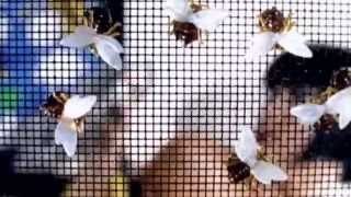 De Bos - On The Run 1997