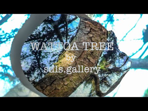 WATTOA TREE