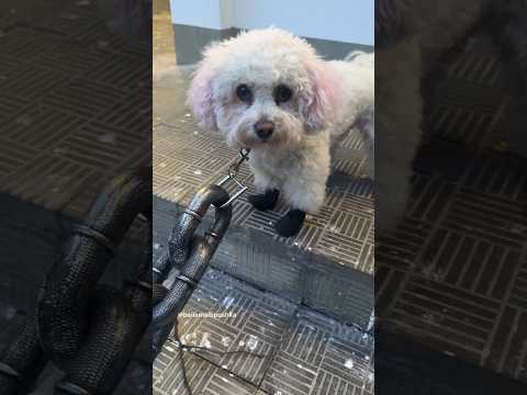 31 августа 2025 г.