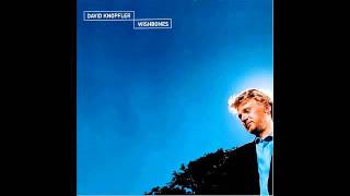 DAVID KNOPFLER -  Genius