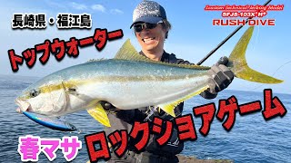 Surfstar J.custom / サーフスターJ.カスタム |PALMS | 株式 Surfstar J.custom / サーフスターJ.カスタム |PALMS | 株式