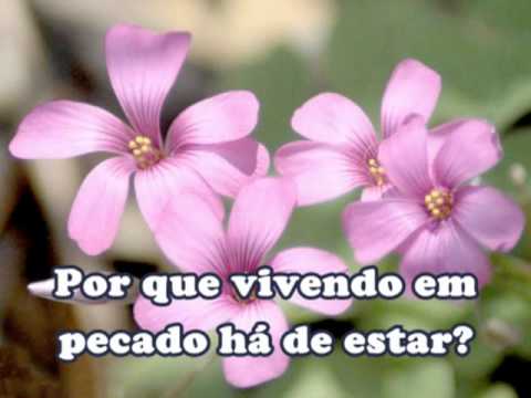 Inesgotável é Seu Amor - 119 - Harpa Cristã.mpg