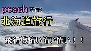 飛行機恐怖症の北海道旅行　ピーチ航空にて空模様をiphoneXSで撮影#1