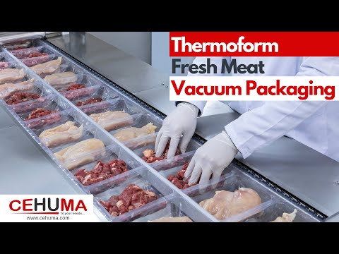Thermoforming Vacuum and Modified Atmosphere Packaging Machine for Fresh Meat