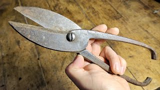 Few people know this secret of old scissors ! A great idea with your own hands!
