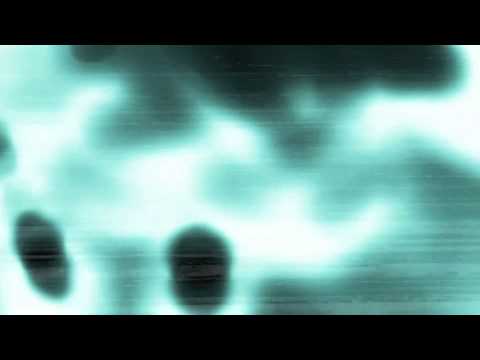 Little Black Dress by Love Darling from The Occupant Theory