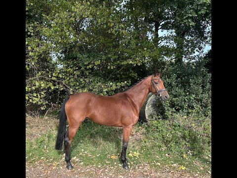 Priscilla LUDOVICUS x LUPICOR - Video 5 video thumbnail