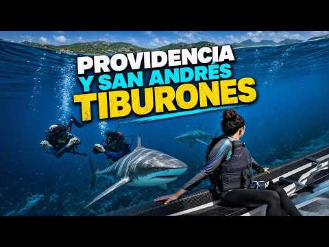 PROVIDENCIA y SAN ANDRÉS 🦈 | buceando con TIBURONES Colombia