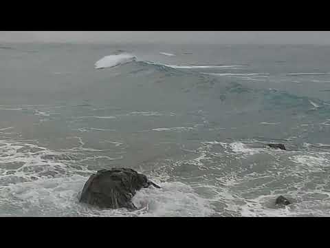 school fees are expensive , Garrick surface attack