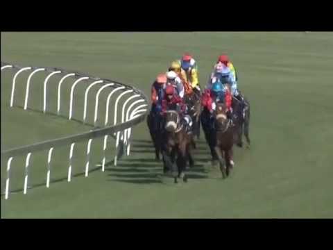 2016.11.26 Investec Dingaans (RSA) - Singapore Sling