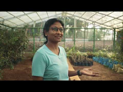 Artist Corner | Ranjani Shettar