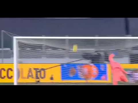 Remo Freuler Goal vs Juventus