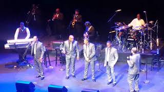 Toast to the fool--the Dramatics