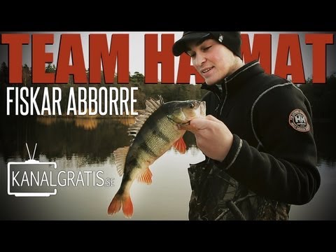 Team Hajmat fiskar abborre - Kanalgratis.se