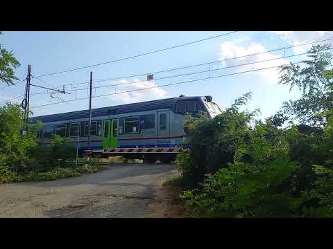 Passaggio a livello Cassine (AL) - Level crossing - Bahnübergang