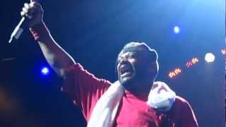 Ghostface Killah- Metal Lungies @ Prospect Park (Brooklyn), NYC