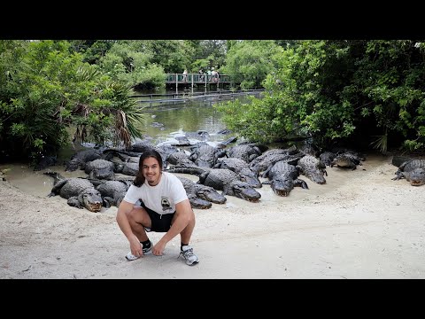 Cezar Wok Collection and 2 more