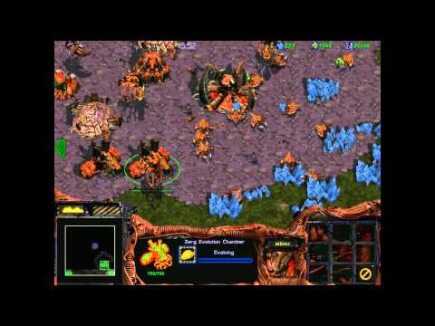 Starcraft 1: Insurrection - Zerg 09 - The Ultimate Conquest