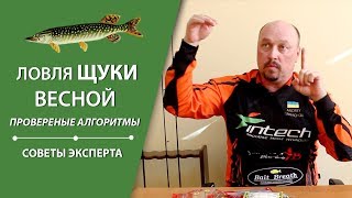 Советы по успешной рыбалке на щуку