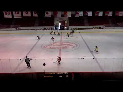 20180818 HC Slavia Praha - HC Kobra 1.část