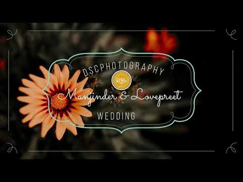 Best Cinematic wedding highlight of Manjinder singh & Lovepreet Kaur  | Dscphotography
