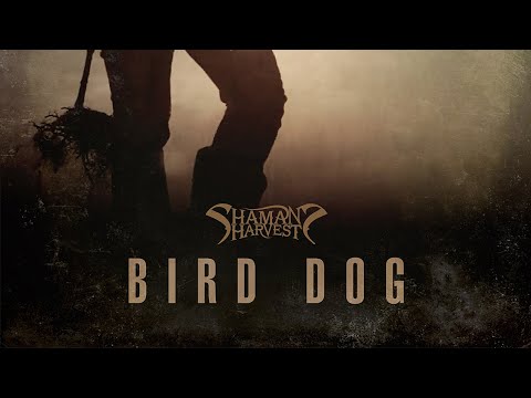 Shaman's Harvest - "Bird Dog" (Official Lyric Video)