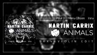 Martin Garrix  - Animals (Paul B, Manu Bîrsan & Dj Innu Sax vs. Violin Edit)