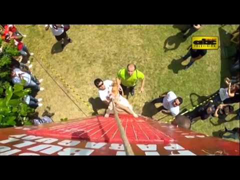 Qué hacer ante un ataque de perros